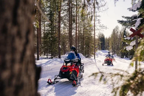 Rovaniemi: Tour di mezza giornata in motoslitta