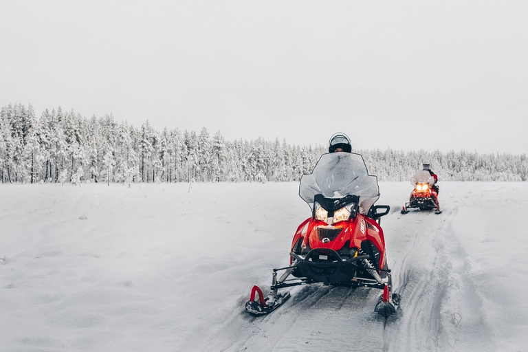 Rovaniemi: Snowmobile Safari into the WildernessRovaniemi: Schneemobilsafari in die Wildnis