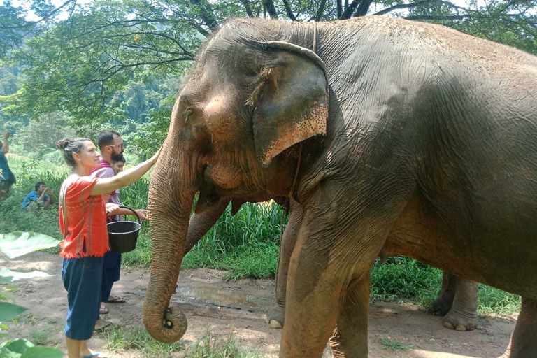 Chiang Mai: Elephant Sanctuary, Long Neck & Sticky Waterfall Private Tour With Hotel Pickup