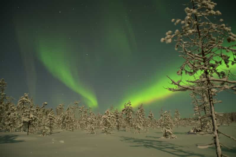 Rovaniemi: Aurorajahti autolla | GetYourGuide