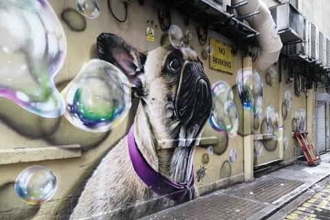 Glasgow: Street Art Guided Walking Tour