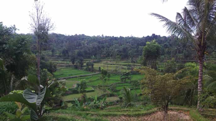 mataram/kuta tetebatu soft trekking with lunch