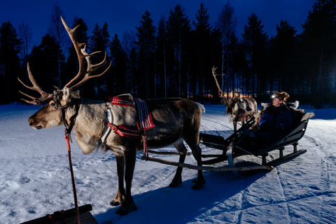 Rovaniemi: Apukka rendiersleetocht bij nacht