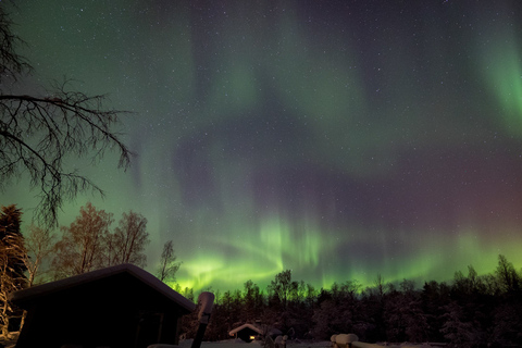 Rovaniemi: Passeio noturno de trenó com renas em Apukka