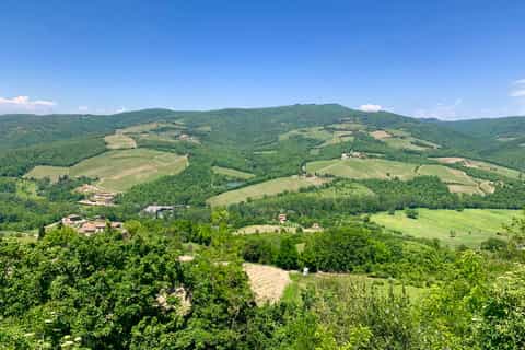 Florence: Pisa, Siena, San Gimignano, and Chianti Experience