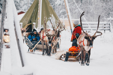 Rovaniemi: Viagem às renas de ApukkaRovaniemi: Viagem de renas de Apukka