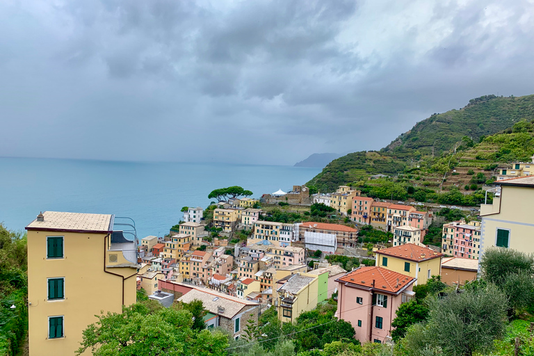 From Florence: Private Roundtrip Transfer to Cinque Terre