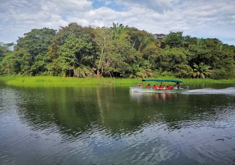 Ciudad de Panamá crucero ecológico por el canal de Panamá y la selva