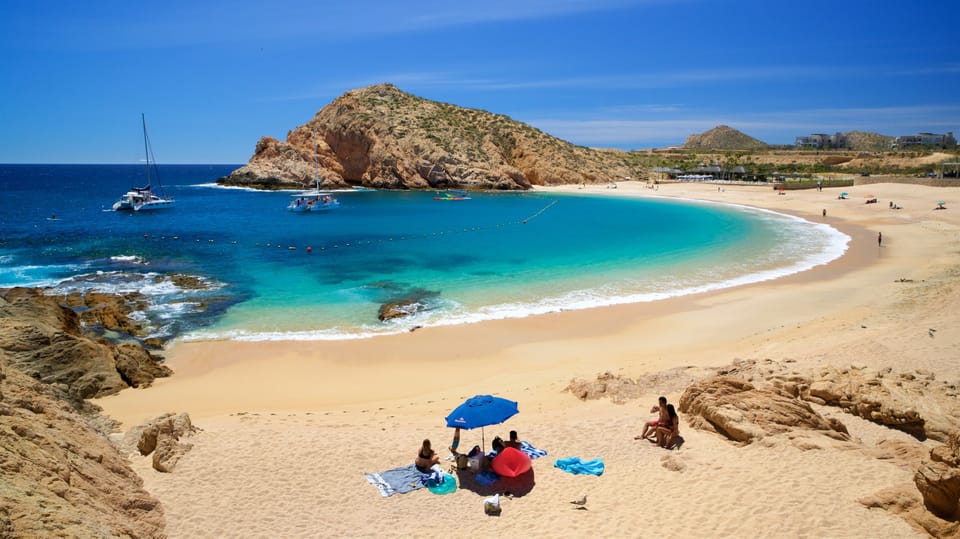 cabo tours reviews