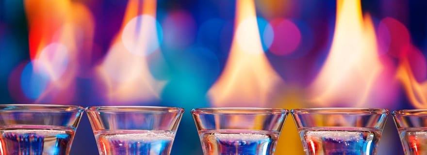 Visite privée de dégustation de vodka à Czestochowa