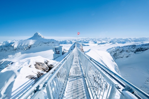 Glacier 3000: privétour op hoog niveauGlacier 3000: kabelbaan en professionele gids