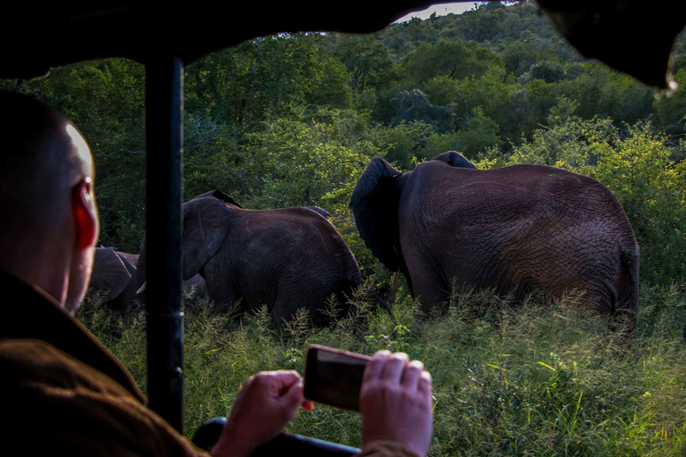 Desde Santa Lucía: Safari nocturno por el Parque del Humedal de iSimangaliso