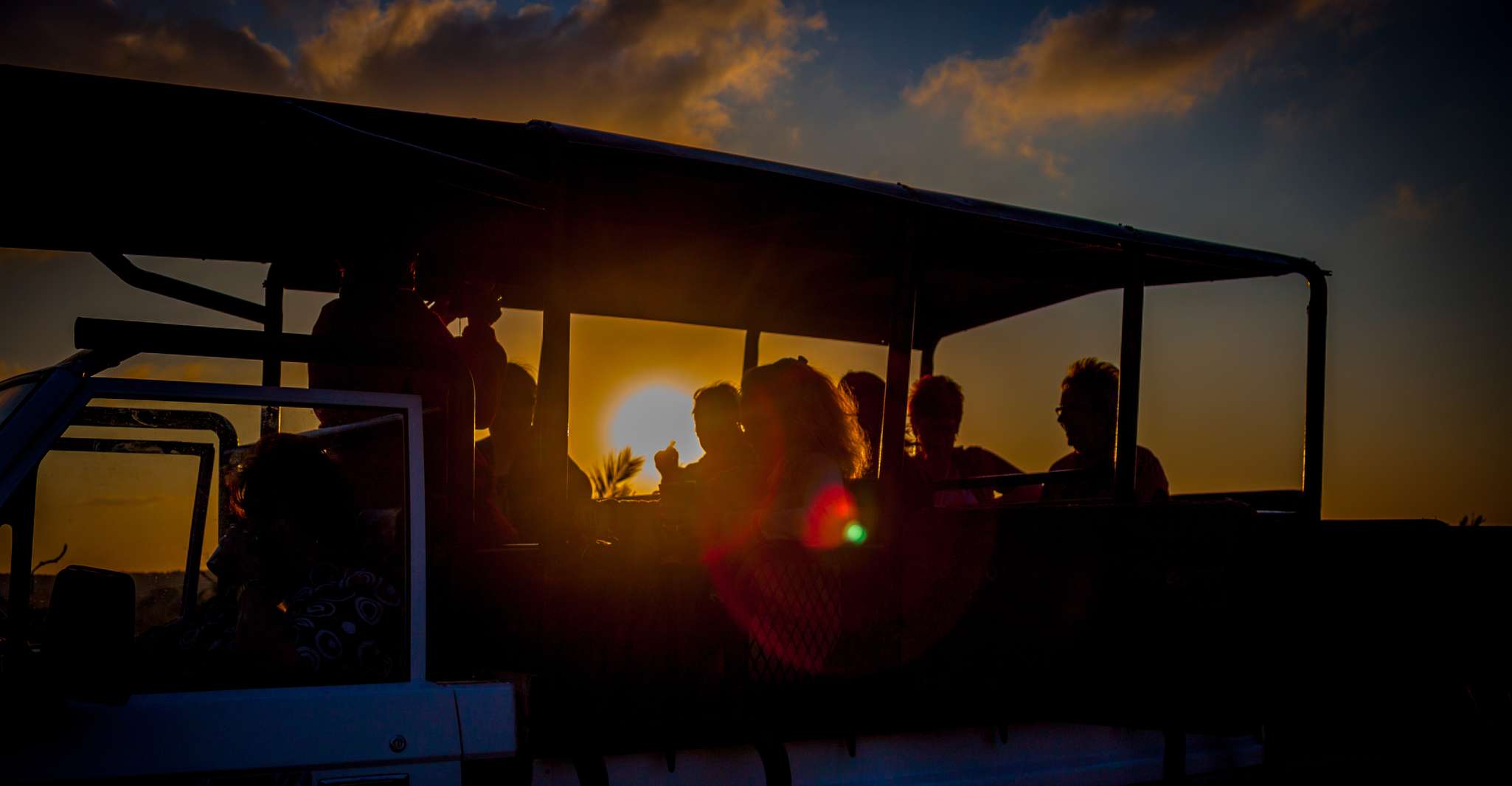 From St Lucia: iSimangaliso Wetland Park Night Drive Safari