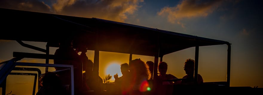 Au départ de Sainte-Lucie : safari nocturne dans le parc de la zone humide d'iSimangaliso