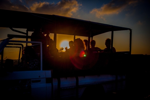 Au départ de Sainte-Lucie : safari nocturne dans le parc de la zone humide d'iSimangaliso