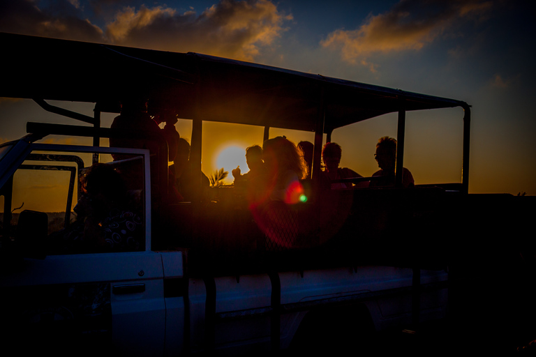 Desde Santa Lucía: Safari nocturno por el Parque del Humedal de iSimangaliso