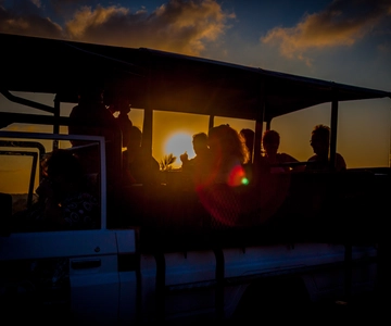 From St Lucia: iSimangaliso Wetland Park Night Drive Safari