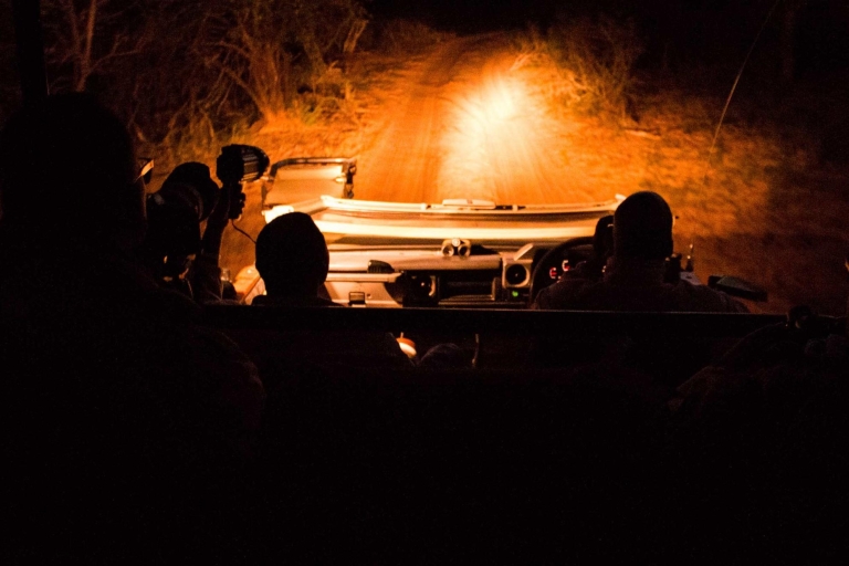 Desde Santa Lucía: Safari nocturno por el Parque del Humedal de iSimangaliso