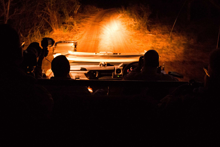 Desde Santa Lucía: Safari nocturno por el Parque del Humedal de iSimangaliso