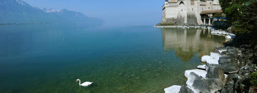 Da Ginevra: tour privato della Riviera svizzera