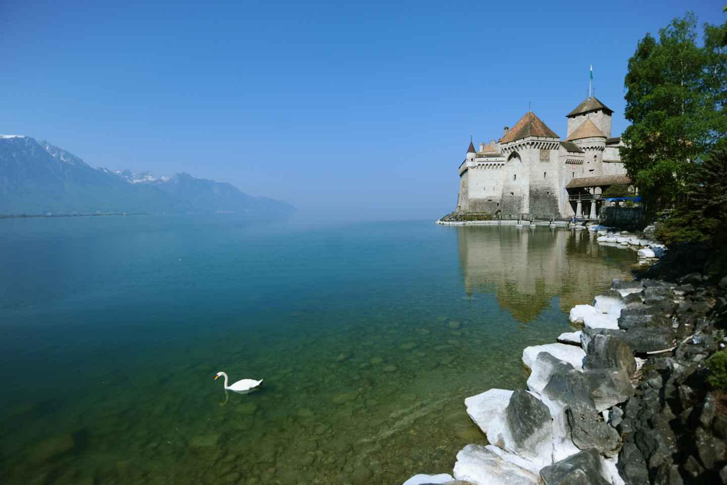 From Geneva: Swiss Riviera Private Tour - Transport, Driver Guide, Chillon Castle & Chaplin's World