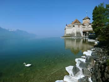 From Geneva: Swiss Riviera Private Tour