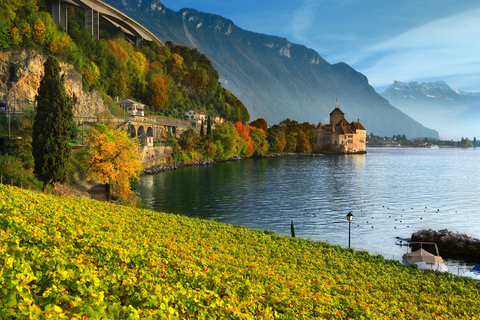 Desde Ginebra: Swiss Riviera Private TourTransporte y guía profesional, Chillon, Chaplin's World