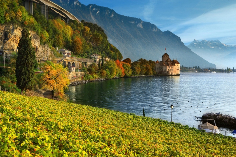 Desde Ginebra: Swiss Riviera Private TourTransporte, Guía del conductor, Castillo de Chillon y el mundo de Chaplin