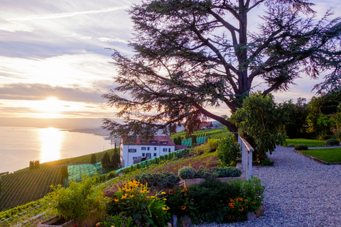 De Genève: visite privée de la Riviera suisseGuide de transport et de chauffeur