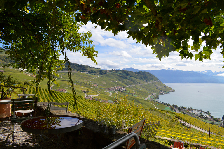 De Genève: visite privée de la Riviera suisseGuide de transport et de chauffeur