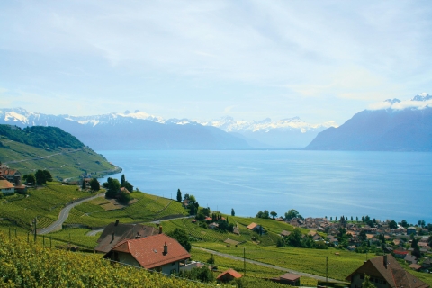 Van Genève: privétour door de Zwitserse RivièraTransport, chauffeursgids, Chillon Castle & Chaplin's World
