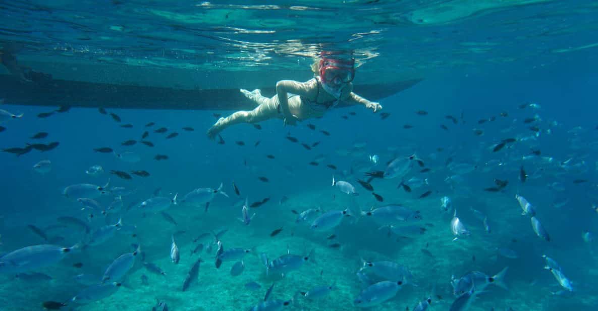 Alcudia: 3-Hour Coast & Dolphins Small Group Cruise