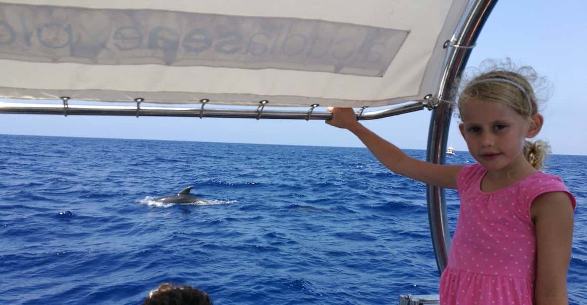 Alcudia: 3-Hour Coast & Dolphins Small Group Cruise