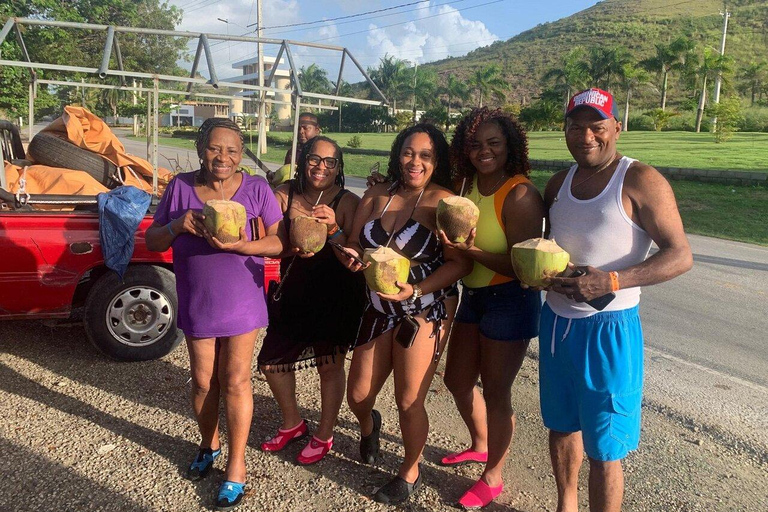 Private:Puerto Plata:Damajagua Waterfalls Tour with Tastings