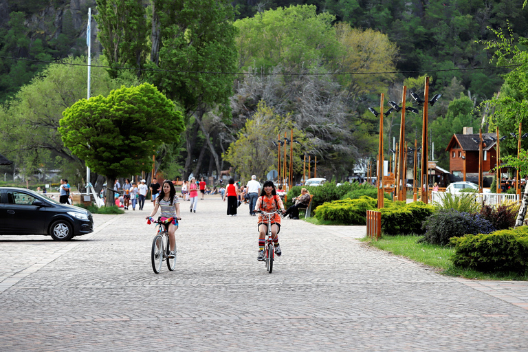 Bariloche: 7 Lakes & San Martin de Los Andes Road Trip Tour in Spanish