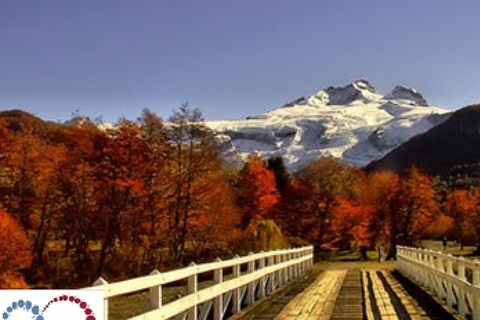 Bariloche: Cerro Tronador Tour Tour in Spanish