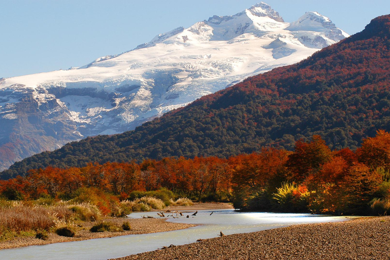 Bariloche: Cerro Tronador Tour Tour in Spanish