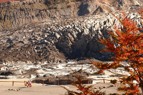 Bariloche: Cerro Tronador Tour Tour in Spanish