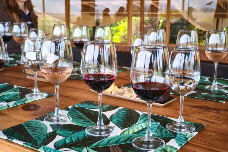 Valparaíso, Viña del Mar & Emiliana Organic Vineyard