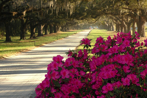 Charleston: Combo Boone Hall e tour storico della cittàCharleston: combinazione di Boone Hall e tour della città storica