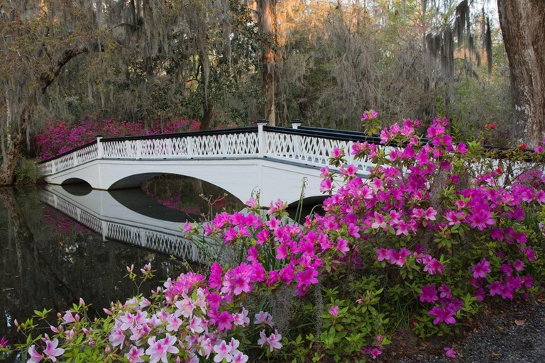 Charleston: Combo de tour de la ciudad histórica y Plantación MagnoliaCharleston Visita a la Plantación de Magnolia y a la Ciudad Histórica