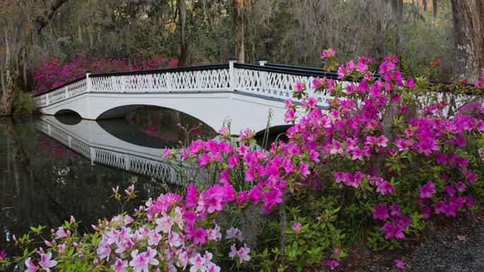 charleston plantação de magnólias e passeio histórico pela cidade