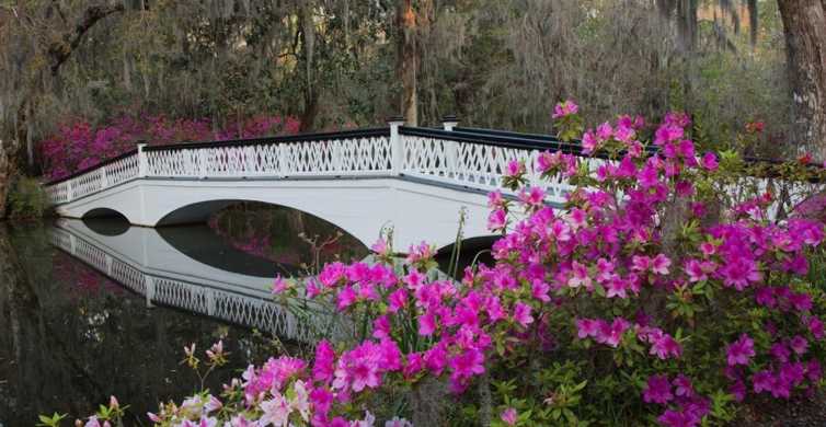Charleston Magnolia Plantation & Historic City Tour GetYourGuide