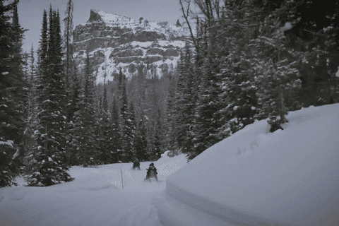 From Jackson: Togwotee High Mountain Snowmobile Tour