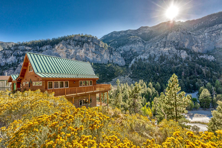 Desde Las Vegas: excursión de día a Mount Charleston Resort