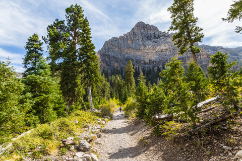 Desde Las Vegas: excursión de día a Mount Charleston Resort