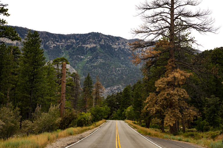 From Las Vegas: Day Trip to Mount Charleston Resort