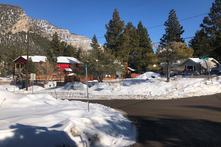 Desde Las Vegas: excursión de día a Mount Charleston Resort