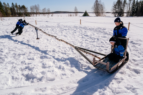 Vanuit Rovaniemi: Hele dag sneeuw en leuke activiteiten