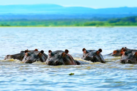 Day Tour To Mount Longonot Park From Nairobi